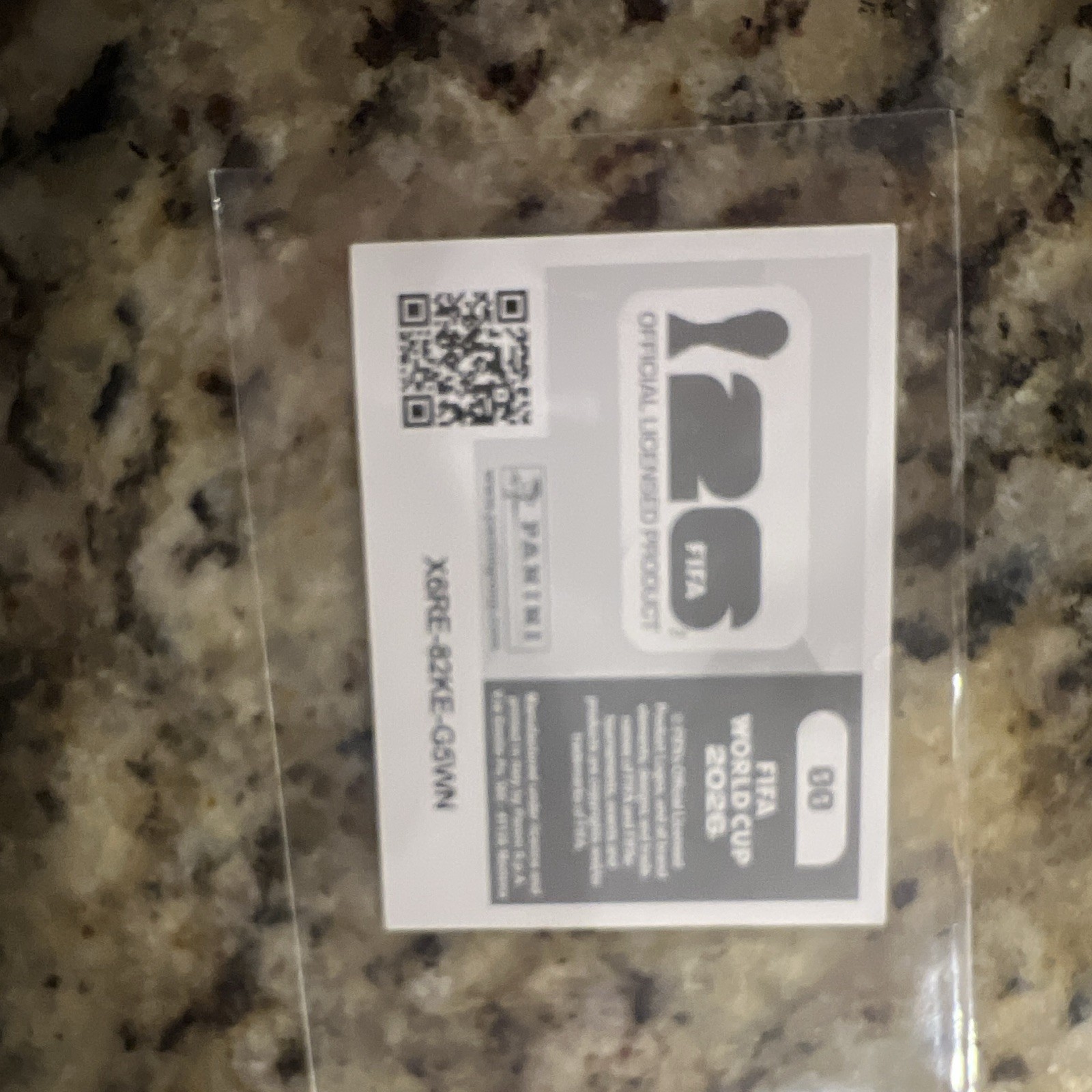 Panini FIFA World Cup 2022 Soccer Trading Card Hologram Foil #00