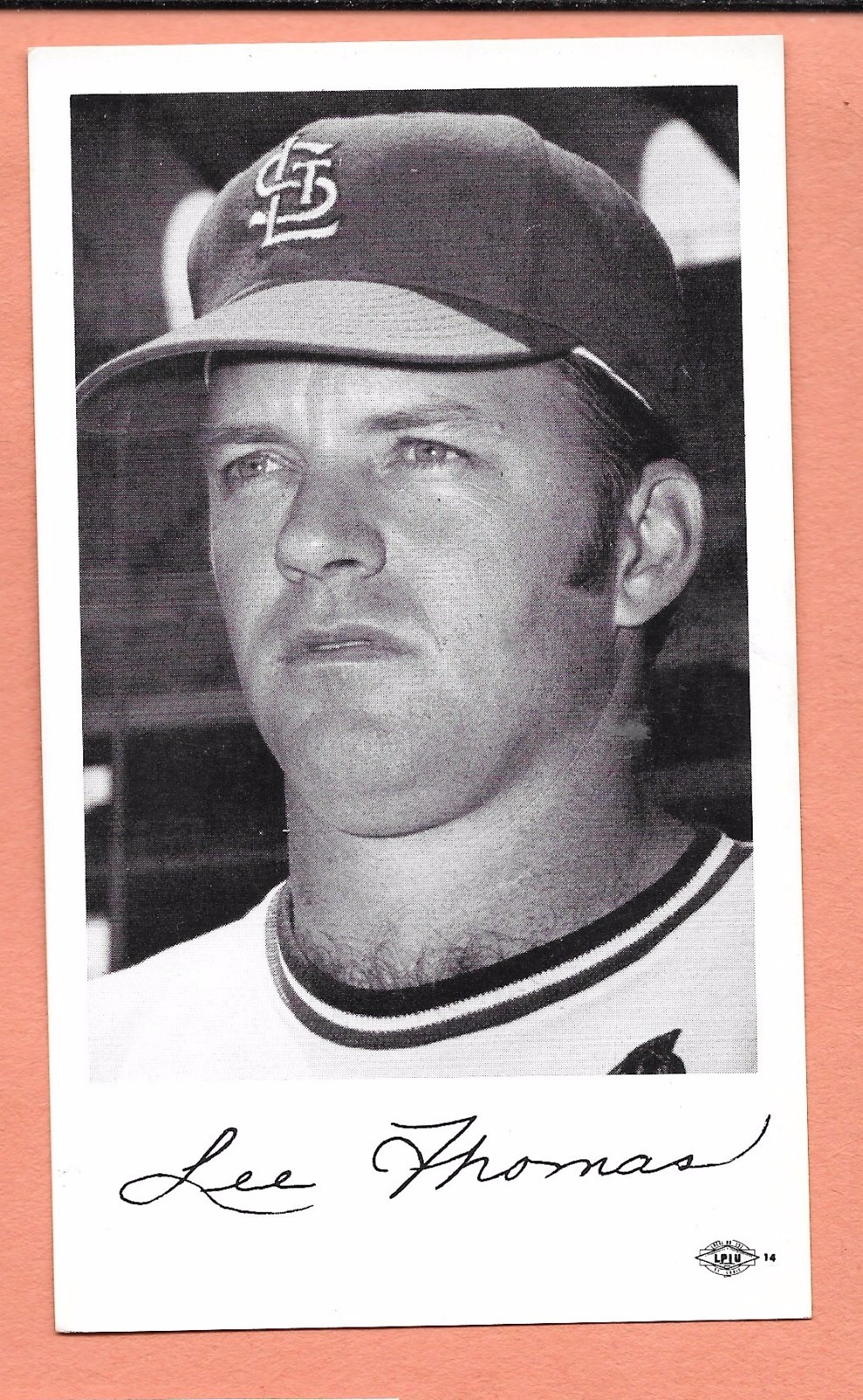 1971 Lee Thomas St Louis Cardinals Team Issued B&W Postcard Photo
