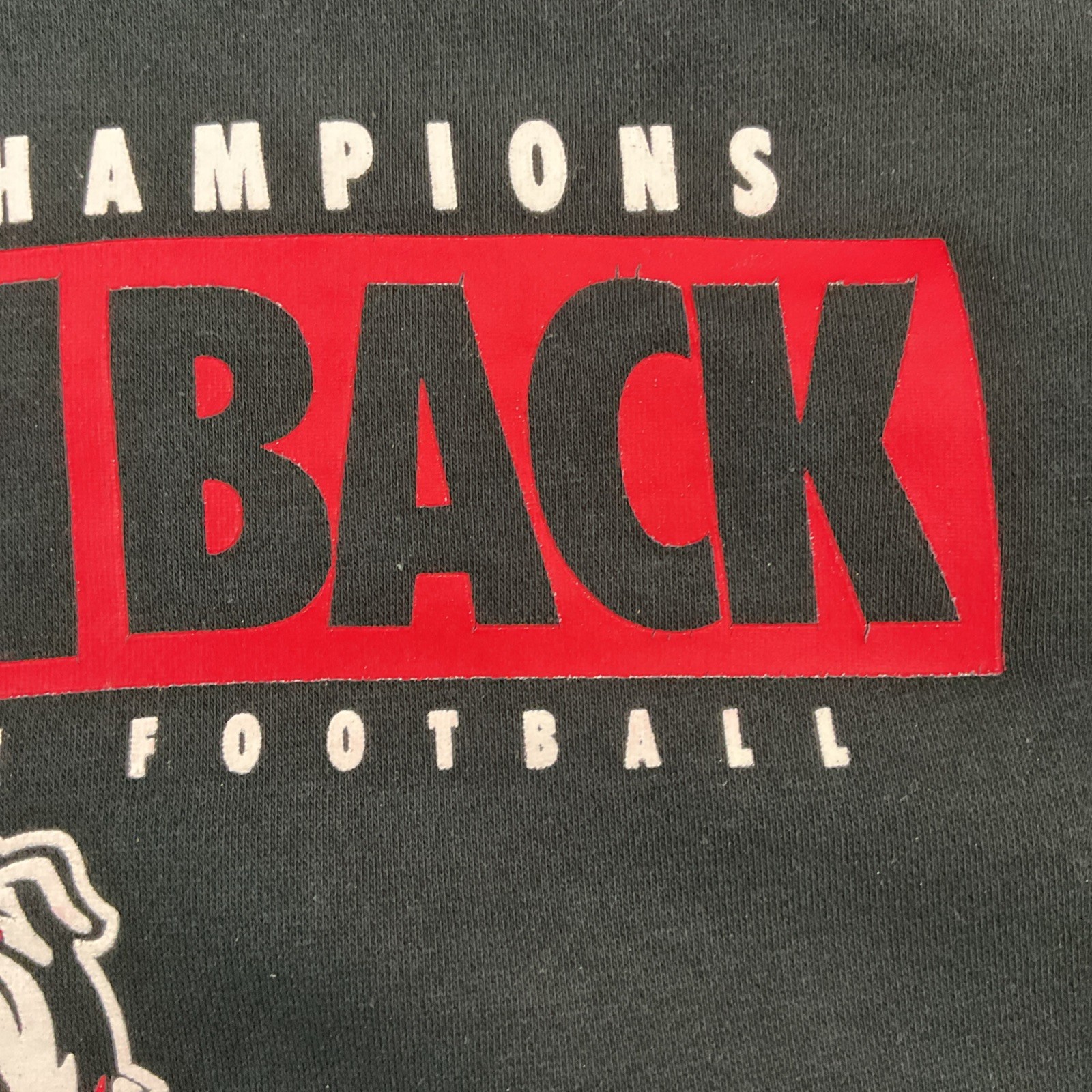 Georgia Bulldogs Hoodie Mens Large Nike National Champions Back To Back 2022