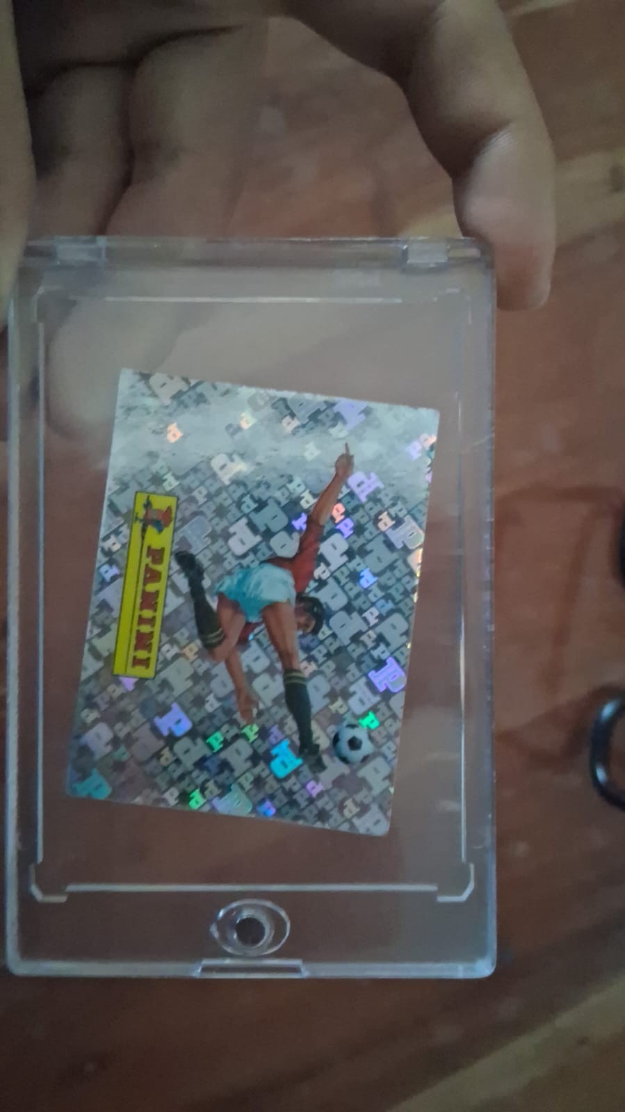 panini logo 00 panini fifa world cup 2026