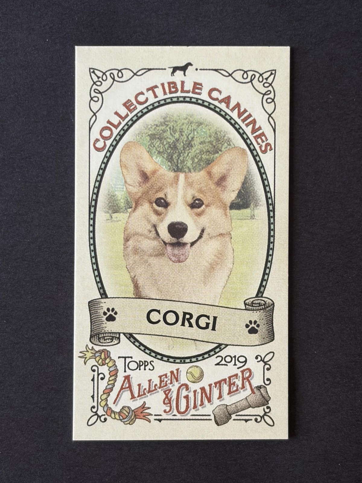 2019 Topps Allen & Ginter #CC-19 Corgi Collectible Canines Minis