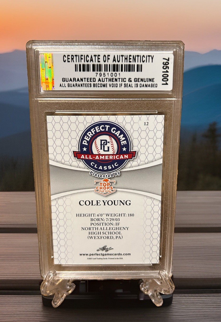 COLE YOUNG RC 2022 LEAF PERFECT GAME Graded “GEM-MT 10 ROOKIE #12. COA!