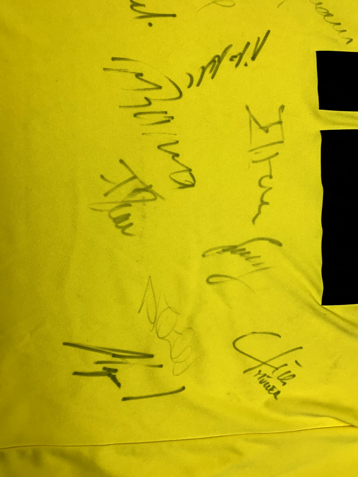 Lehmann Charity Match Worn Switzerland Germany Legends Signed Shirt 2013