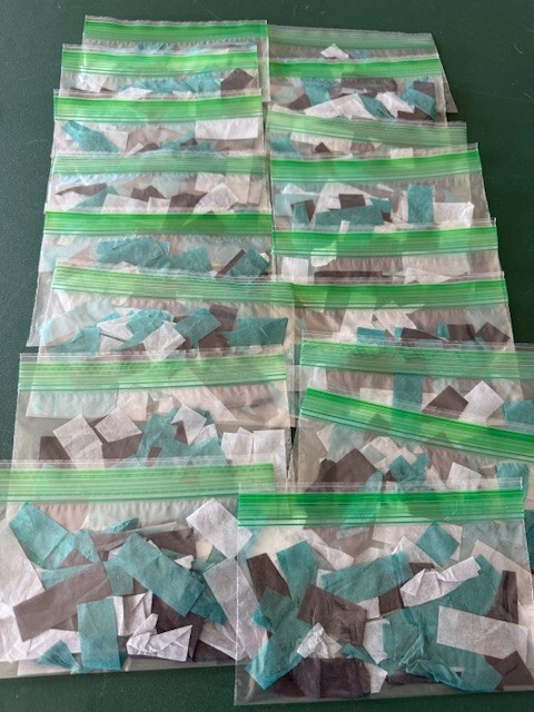 Super Bowl LIX EAGLES Confetti Authentic 40+ Pieces