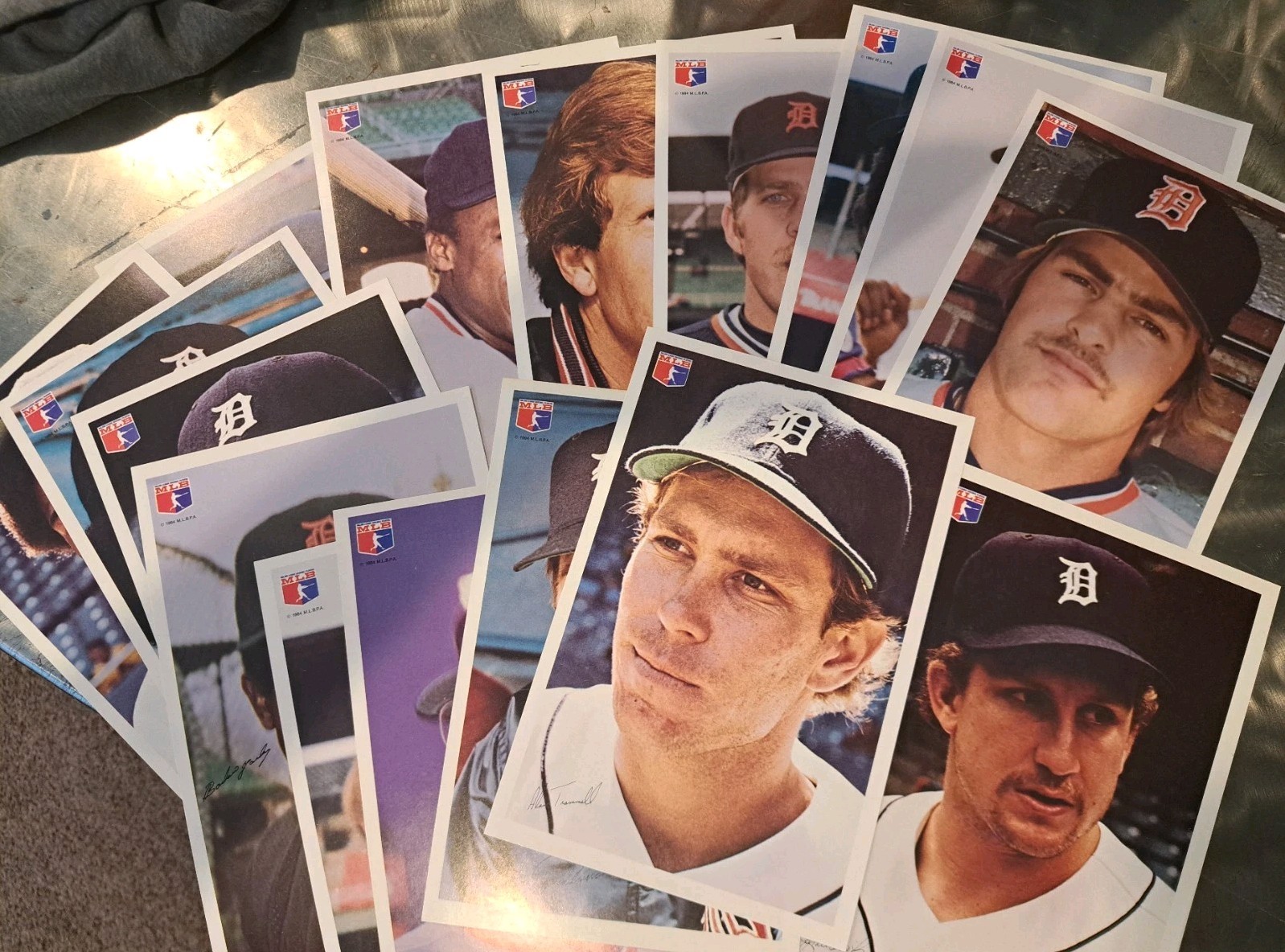 1984 Detroit Tigers WORLD SERIES Champs Farmer Jack Photo Set Tram Lou 16 Diff