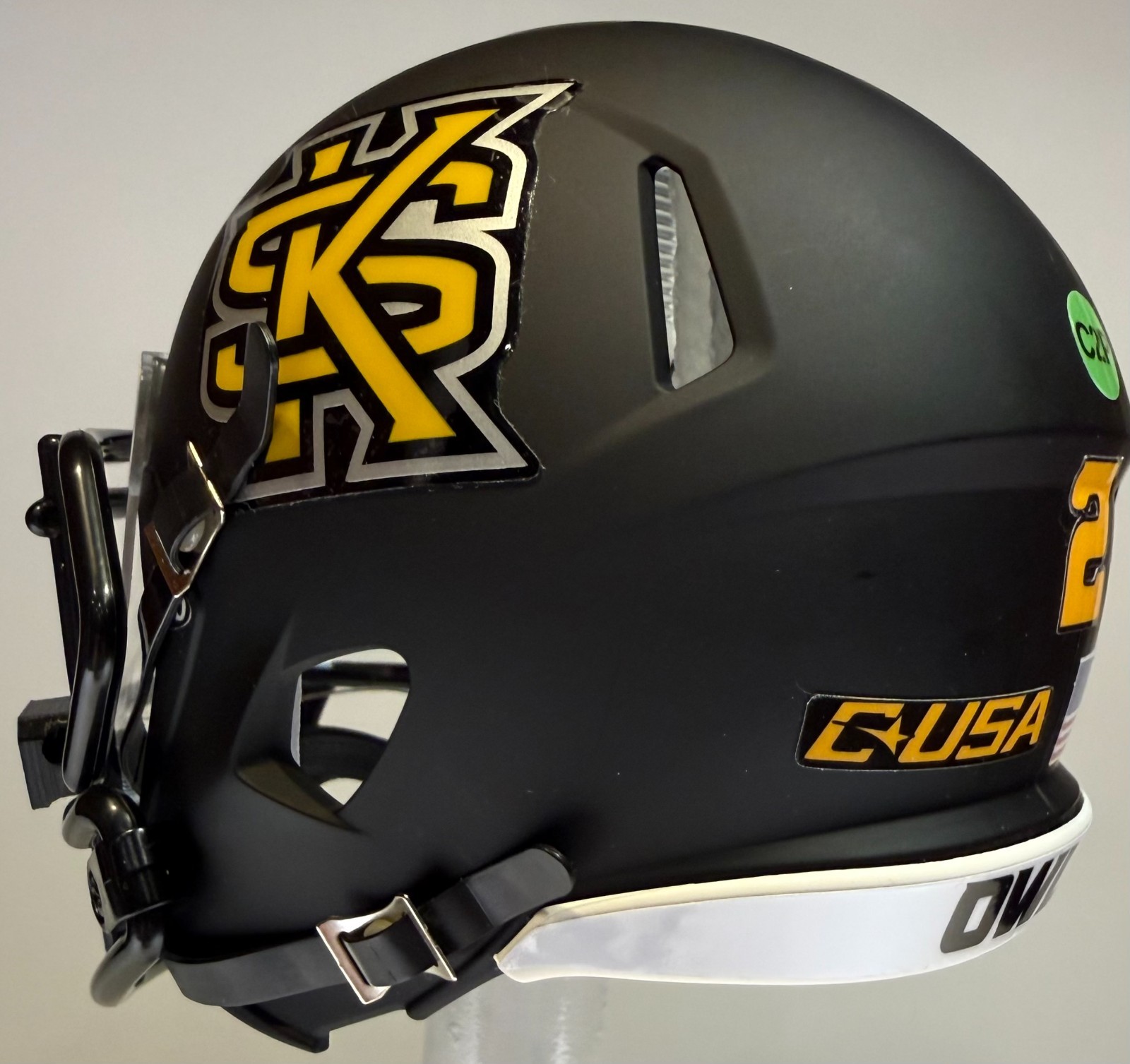Kennesaw State Owls Custom Mini Riddell Football Helmet – Any Player #