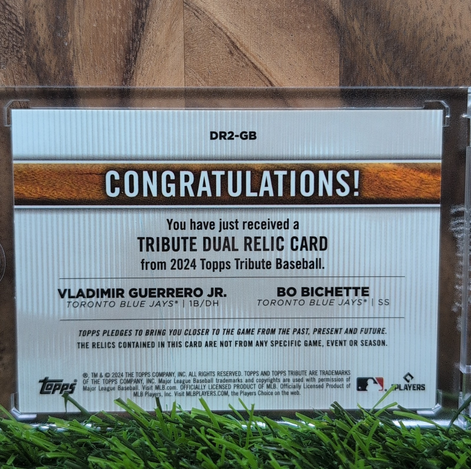 VLADIMIR GUERRERO JR BO BICHETTE 2024 Topps Tribute Dual Relic /75