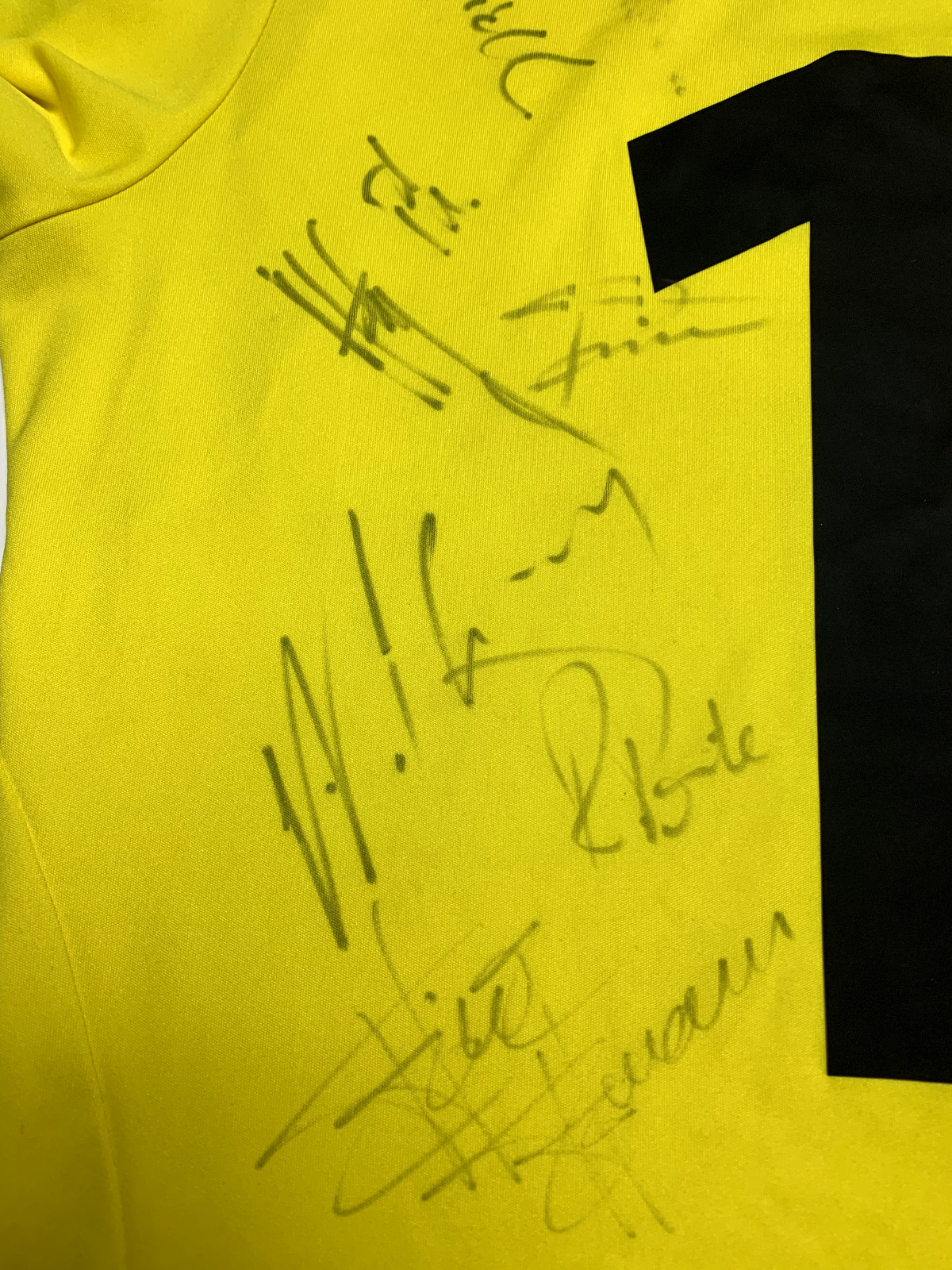 Lehmann Charity Match Worn Switzerland Germany Legends Signed Shirt 2013