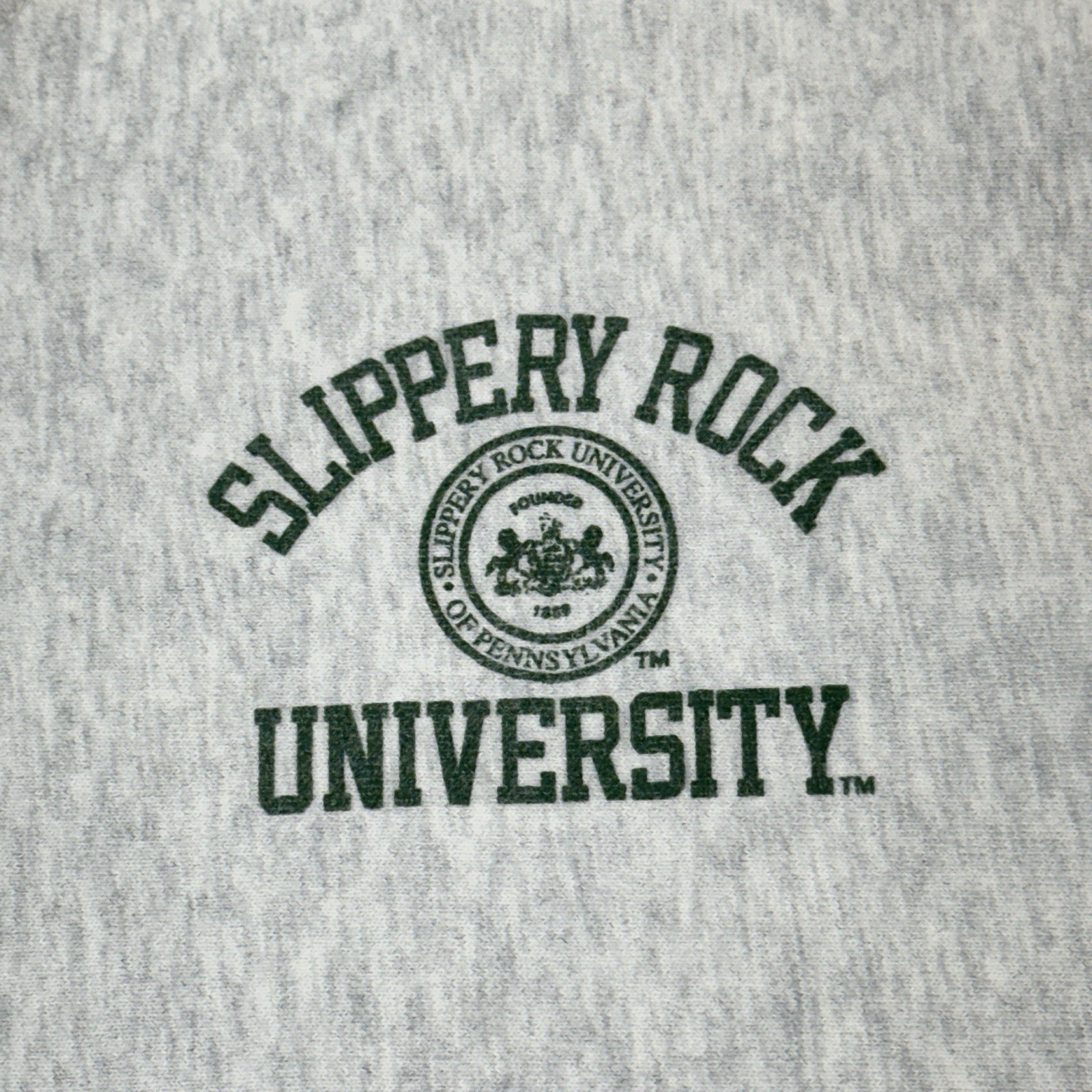 Vintage Slippery Rock Pride Sweatshirt Mens Large Gray Heavyweight Pullover 90s