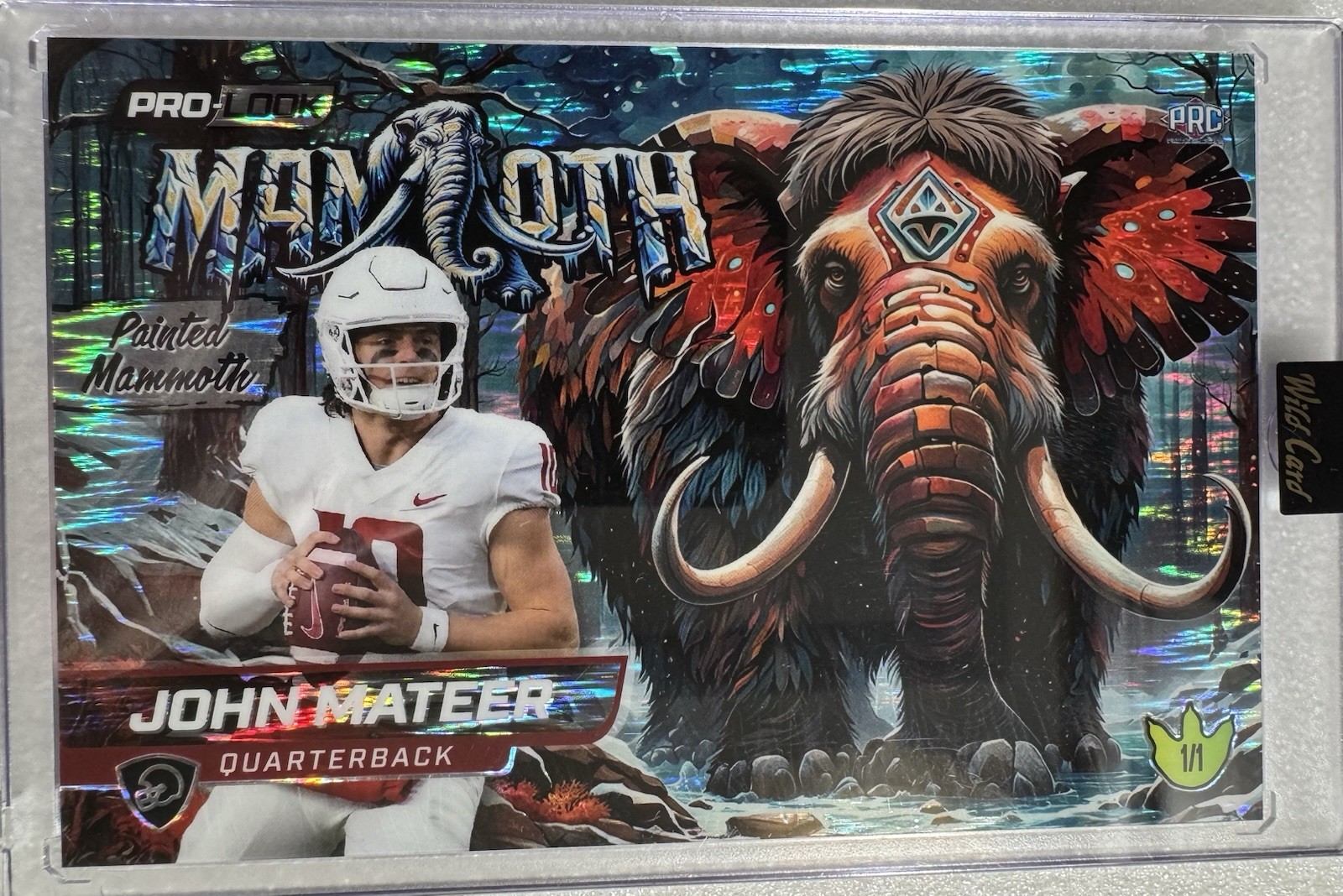 John Mateer-QB-PRC•2025 Wild Card Alumination Dino-Might-Pro-Look•Mammoth-1/1