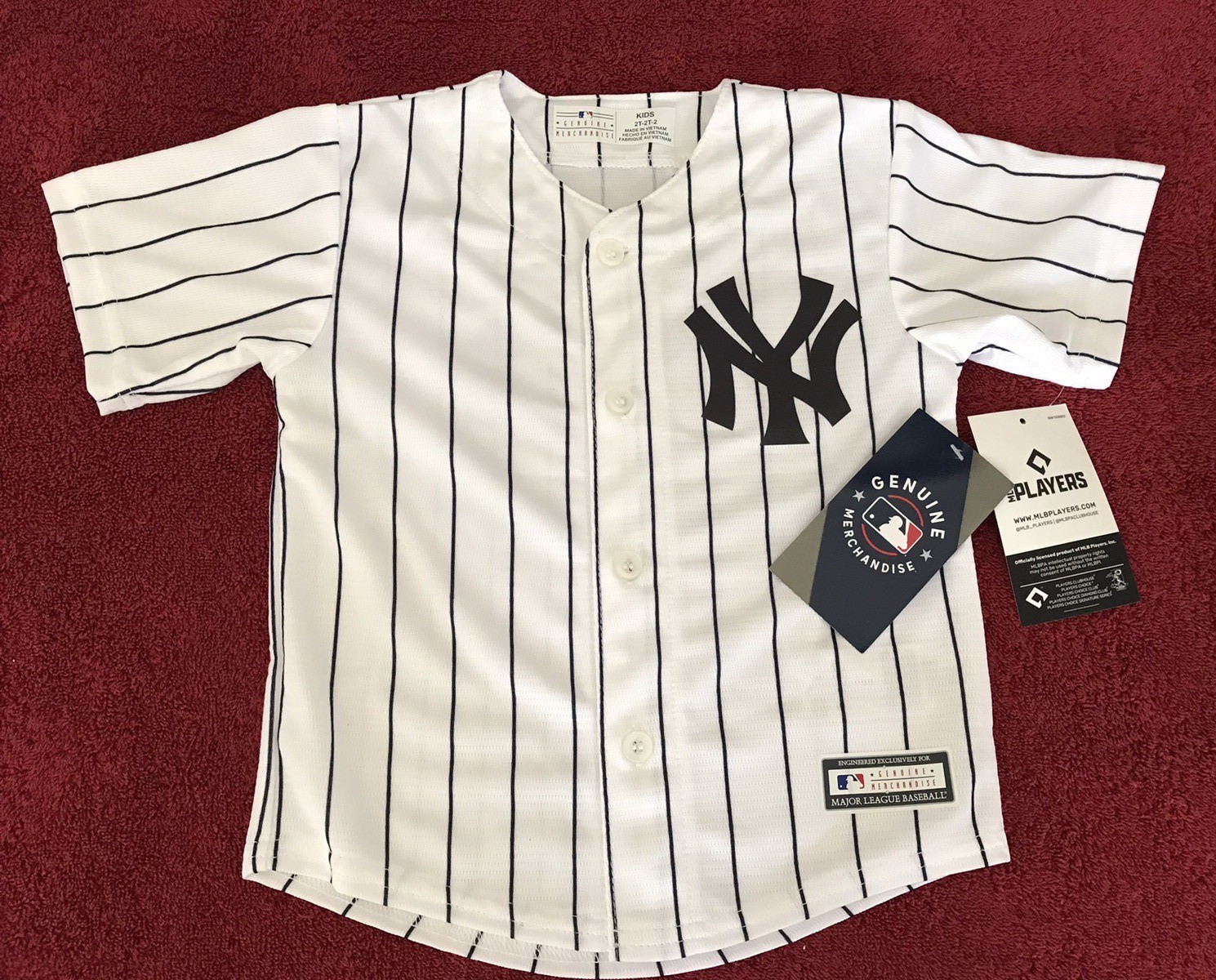 NY Yankees Kid’s Jersey Size 2T Aaron Judge #99 MLB Genuine Merchandise NWT