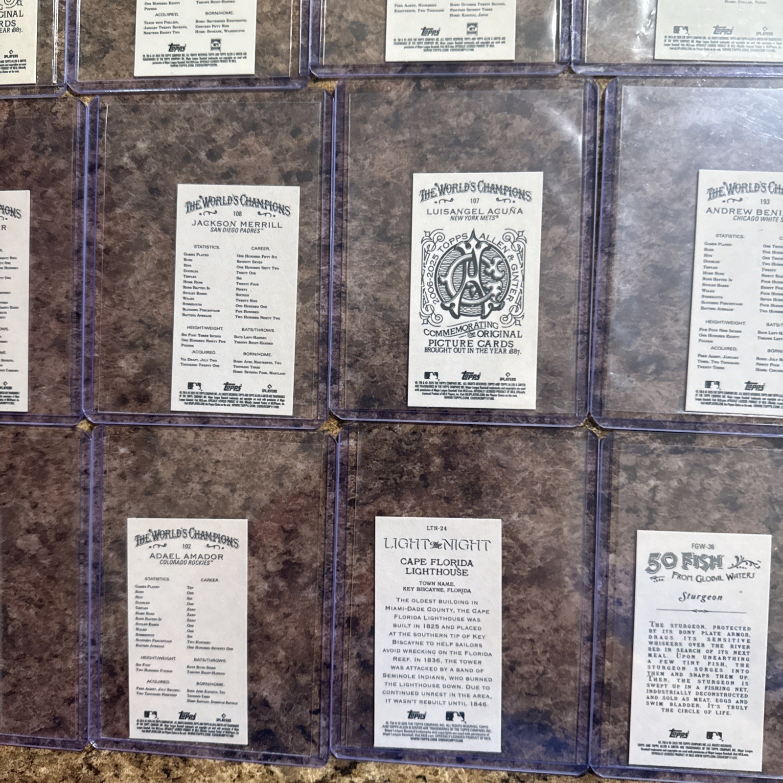24 Allen & Ginter Mini Card Lot!