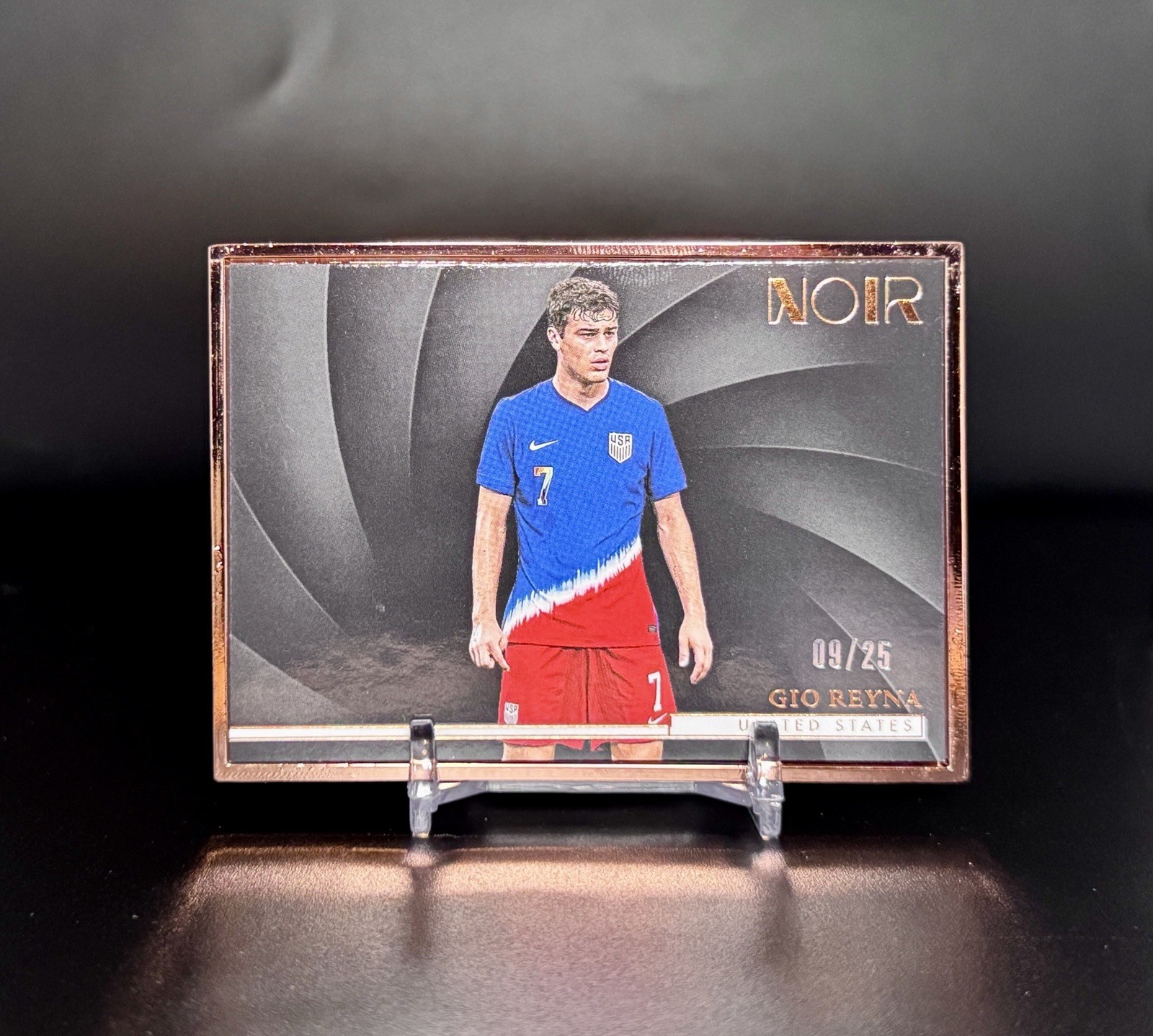 2024-25 Panini Noir FIFA Gio Reyna United States Bronze Frame /25