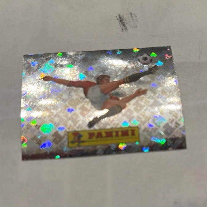 Panini Soccer Holographic Foil Sticker 00