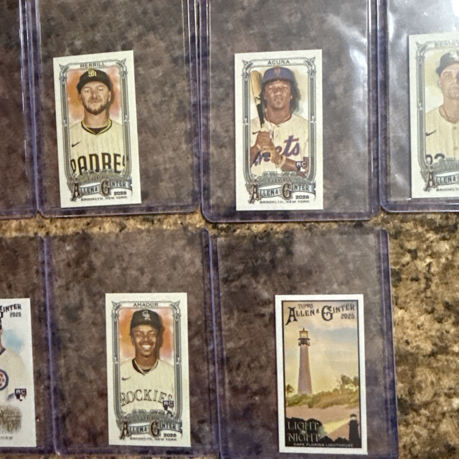 24 Allen & Ginter Mini Card Lot!