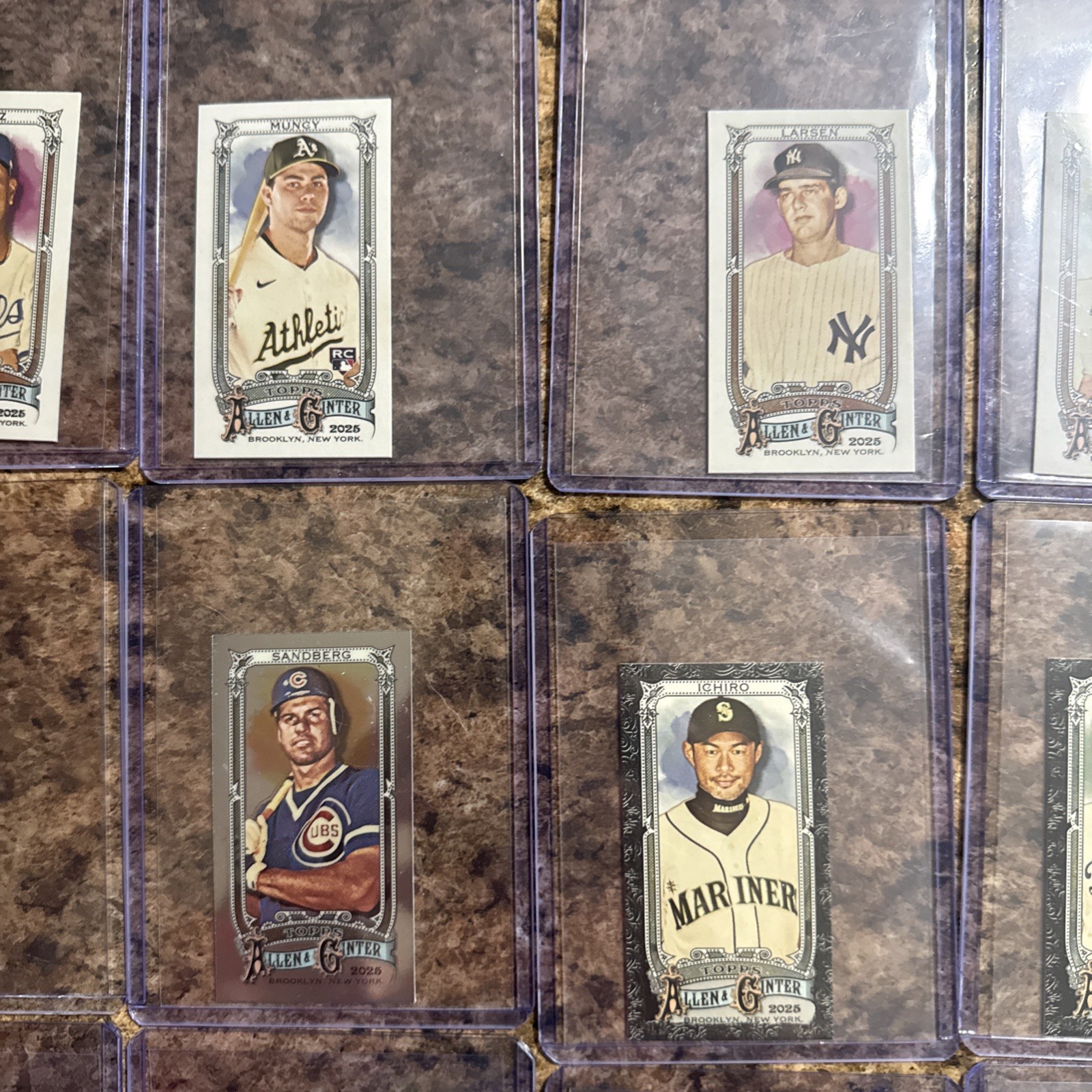 24 Allen & Ginter Mini Card Lot!