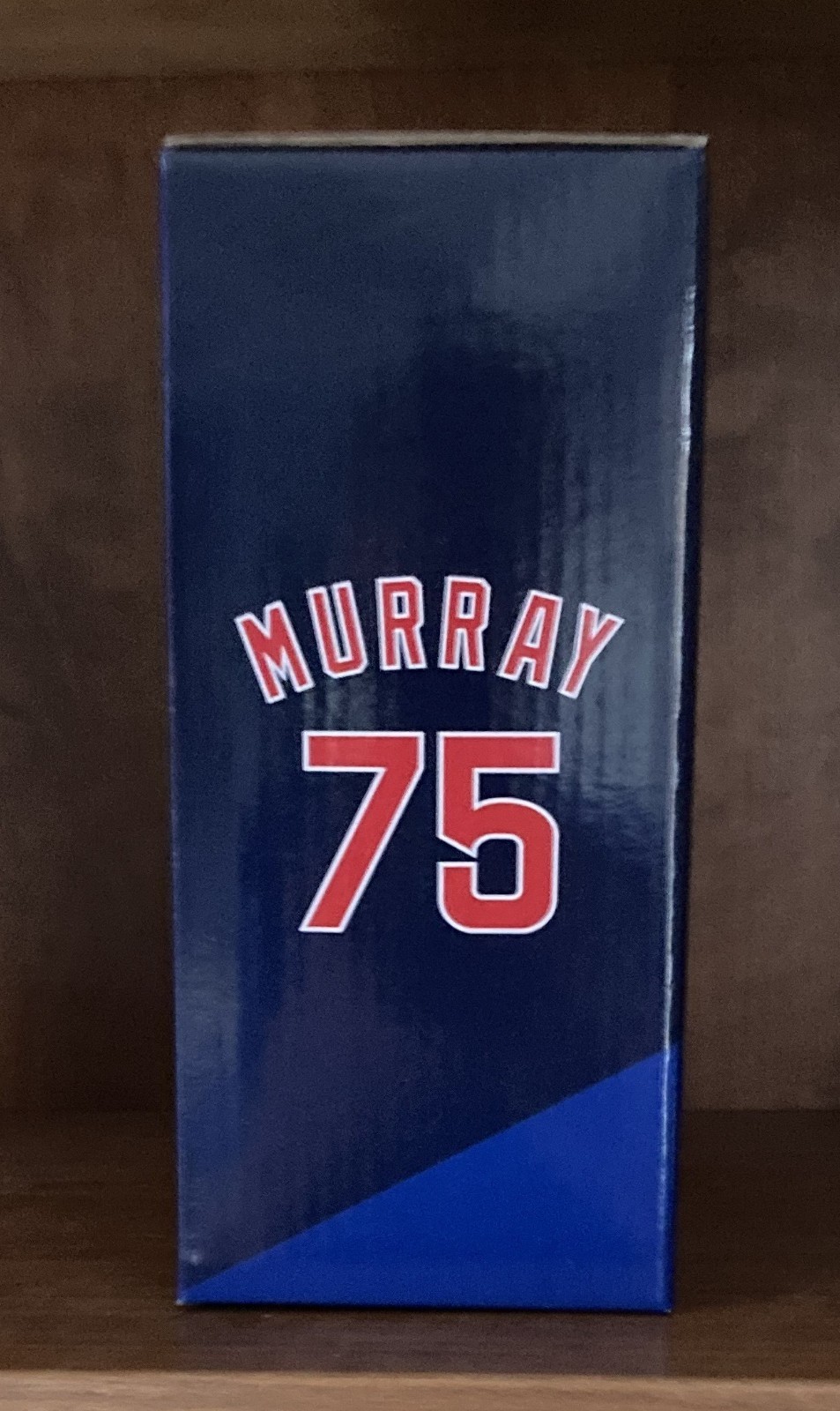 CHICAGO CUBS BILL MURRAY BOBBLEHEAD NIB (9/14/25 WRIGLEY SGA)!