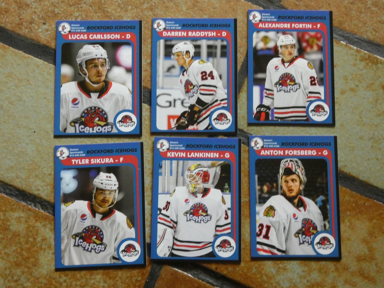 2018-2019 Rockford IceHogs team issue hockey cards 30 Card Lot All Different