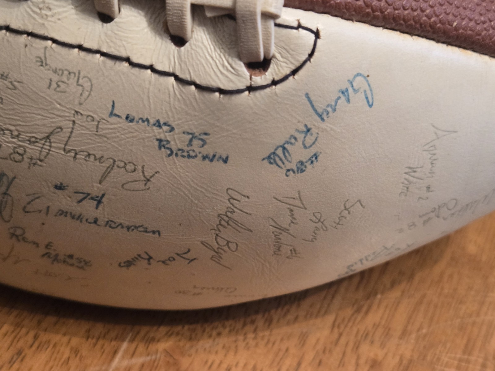 Florida Gators Football Several Autograph Believe 1984/1987
