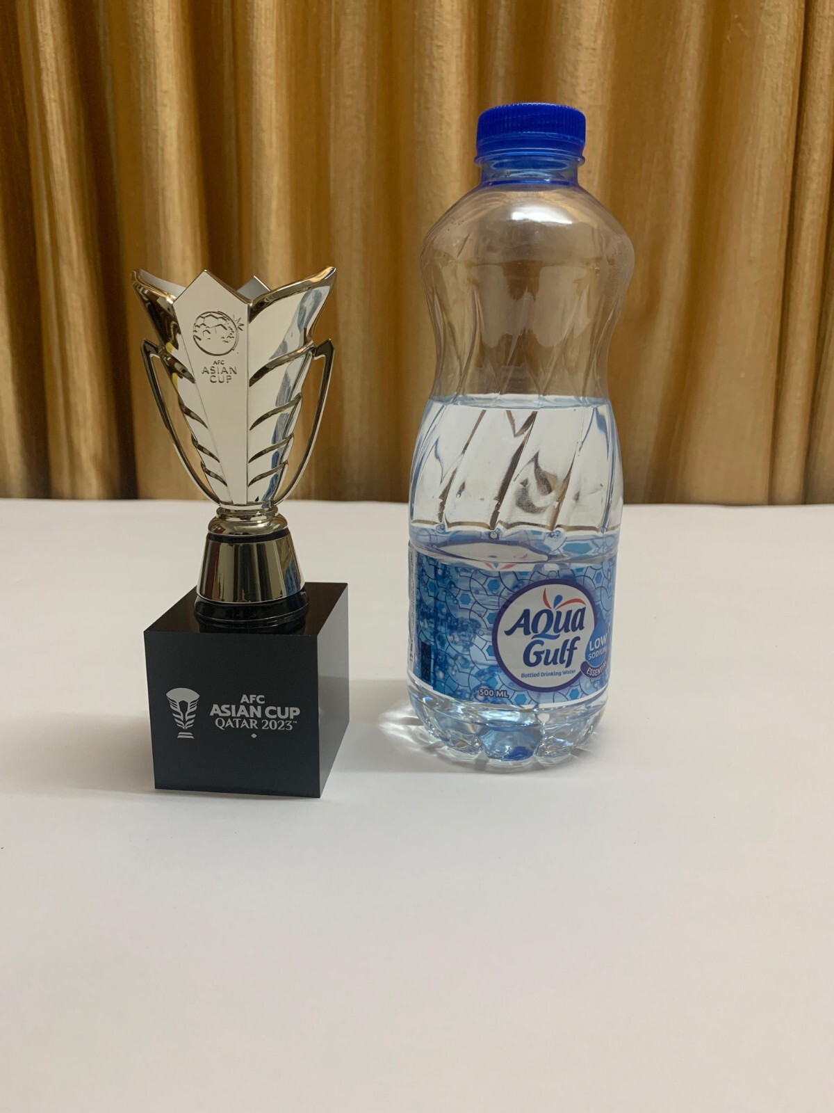 AFC Asian Cup Qatar 2023 100 mm Trophy Replica with Pedestal (Official Product)