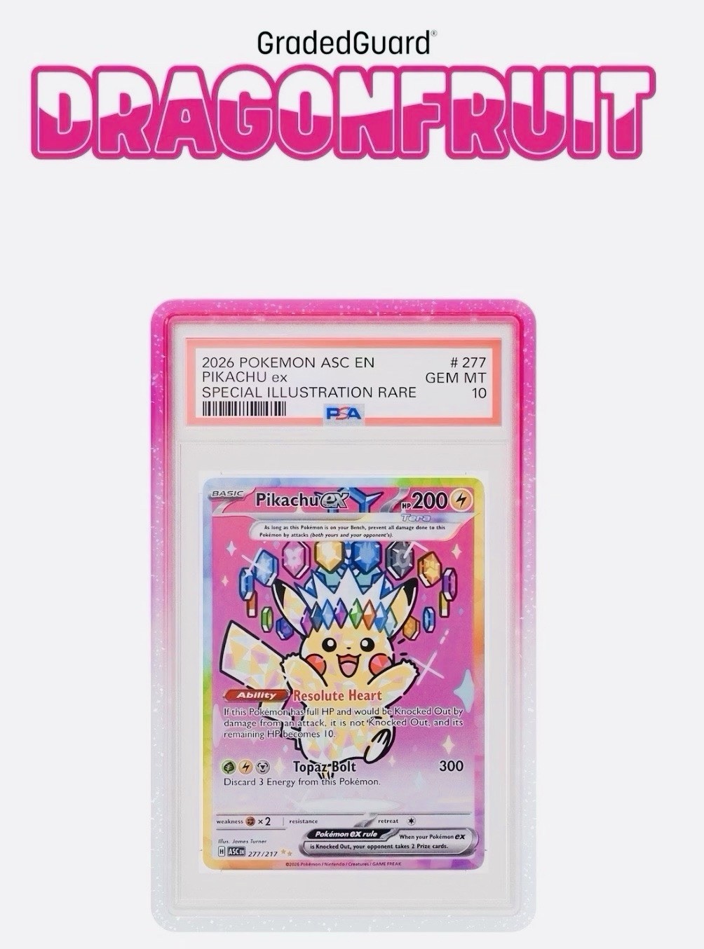 GradedGuard Dragonfruit PSA Graded Card Protector Guard Case Limited Edition