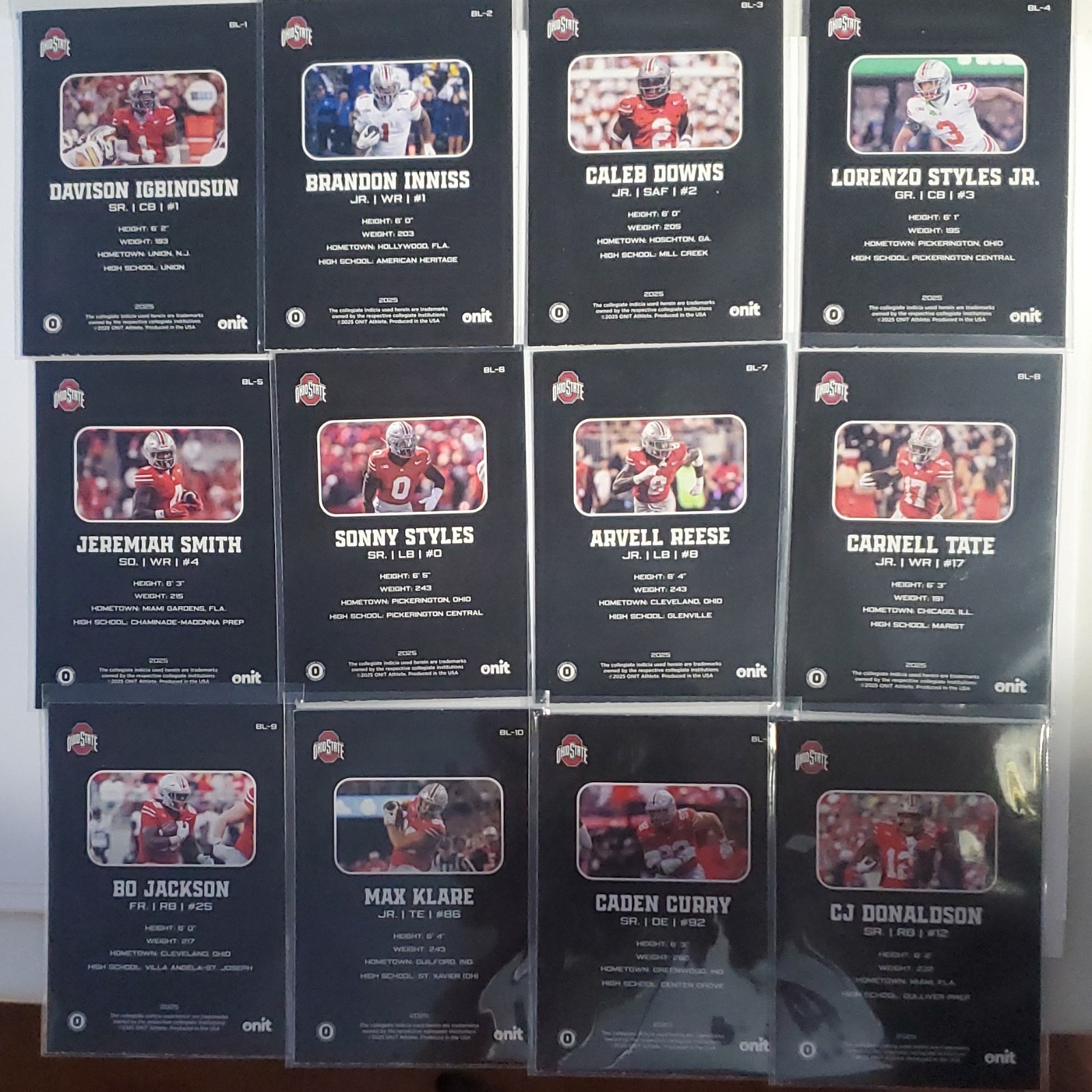 Onit 2025 Ohio State Buckeyes Blackout Edition BL-1 to BL-12 12-Card Lot. Plus 8