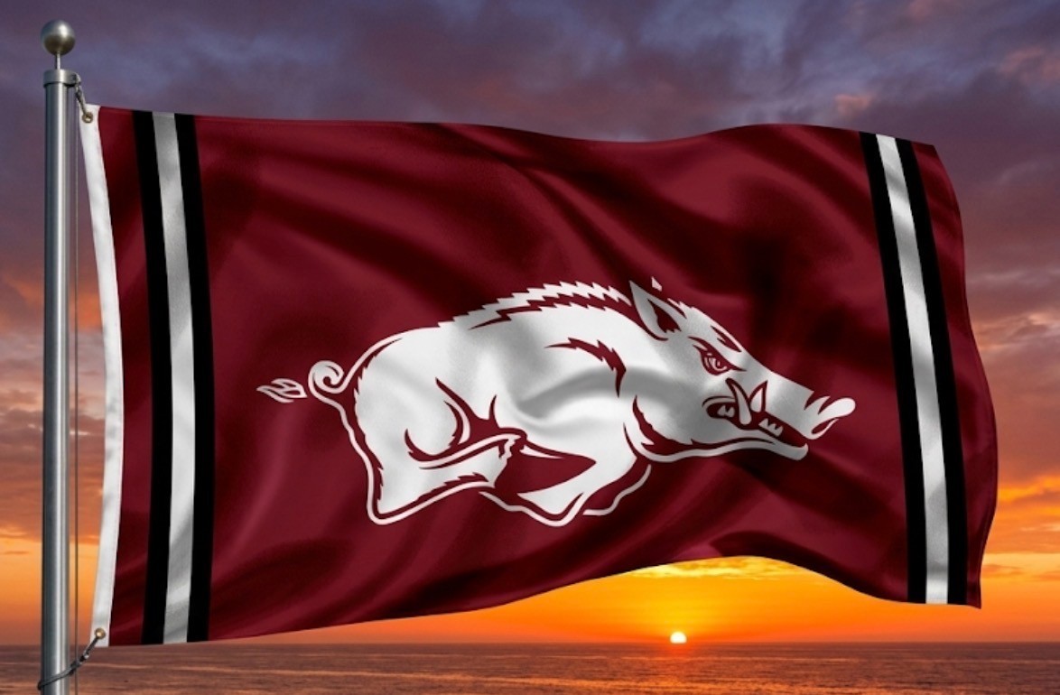Arkansas Razorbacks FLAG/Banner. Brand new 3 Styles to pick from