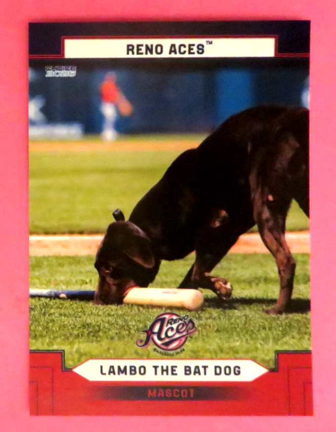 2026 Choice, Reno Aces, Mascot – LAMBO THE BAT DOG