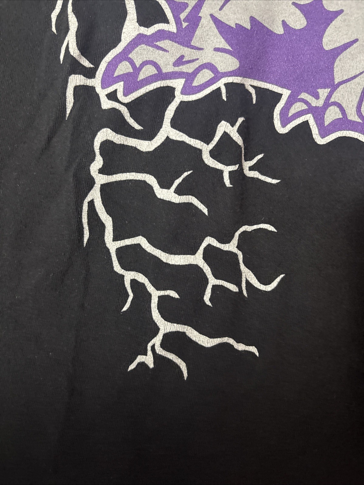 TCU Horned Frogs Barstool Texa’s Frogs Shirt Size Large Comfort Colors