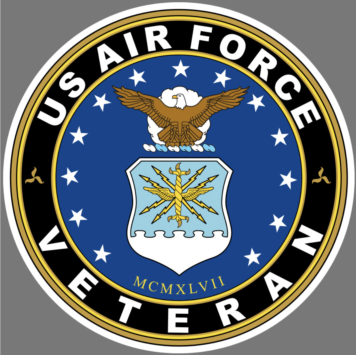 Car Magnet – US Air Force Veteran USA – MAGNET
