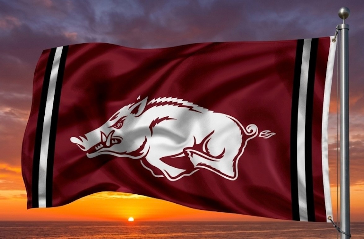 Arkansas Razorbacks FLAG/Banner. Brand new 3 Styles to pick from