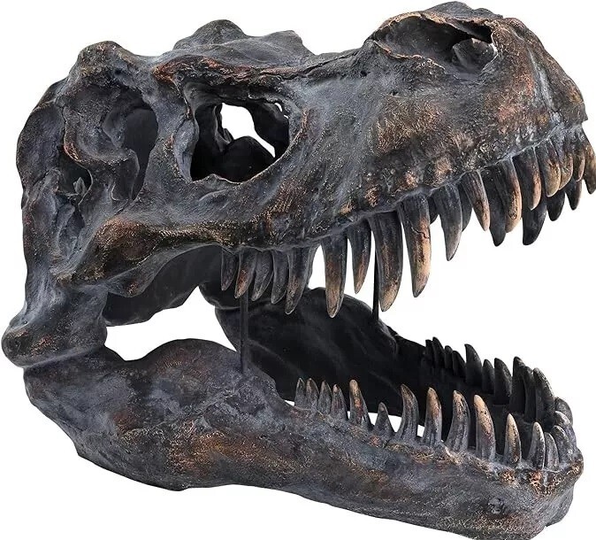 Giant Tyrannosaurus Rex Dinosaur Skull Fossil – High Quality – Brand New