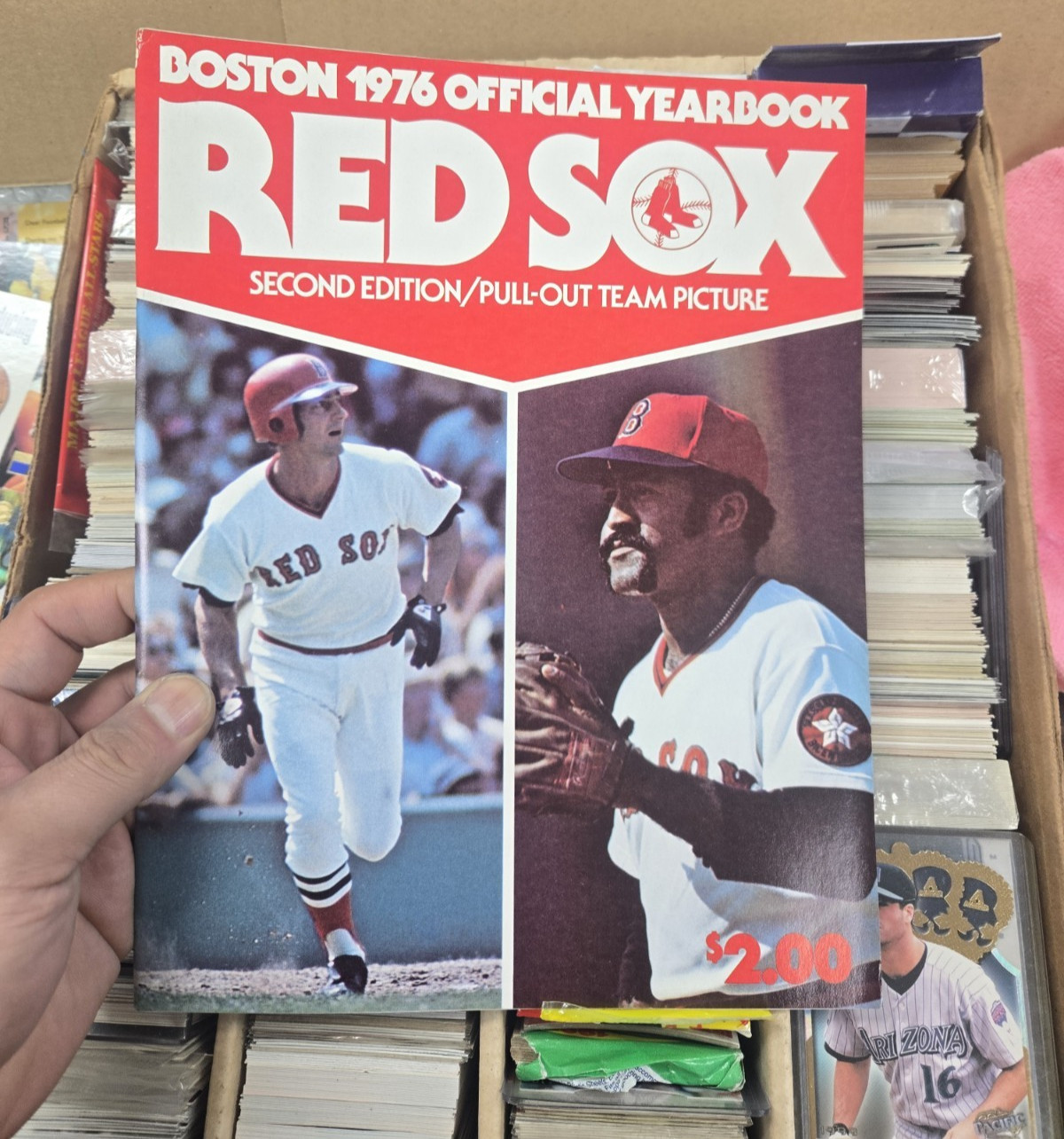 3000 Unsearched Mixed SPORTS Trading Card Lot MLB,NBA,NFL Non Sports Memorabilia