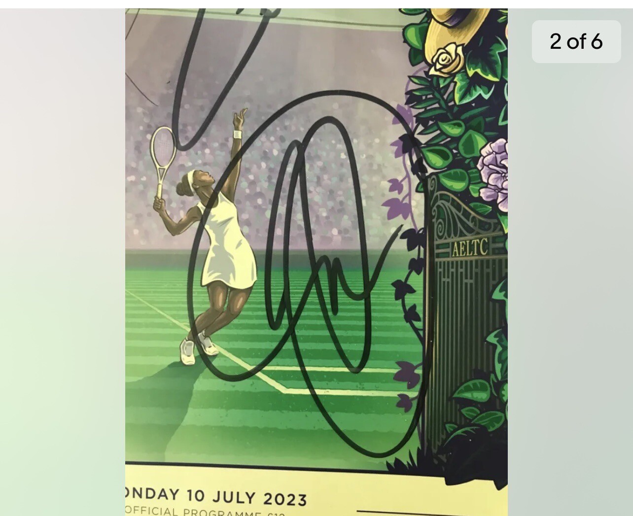 🔥Novak Djokovic & Carlos Alcaraz Dual Wimbledon Signatures Auto Authenticated😎