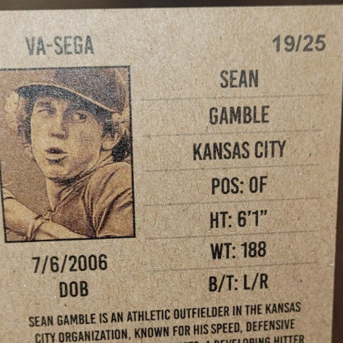 SEAN GAMBLE 19/25 ON CARD AUTO 2026 ONYX AUTHENTICATED VINTAGE NO. VA-SEGA
