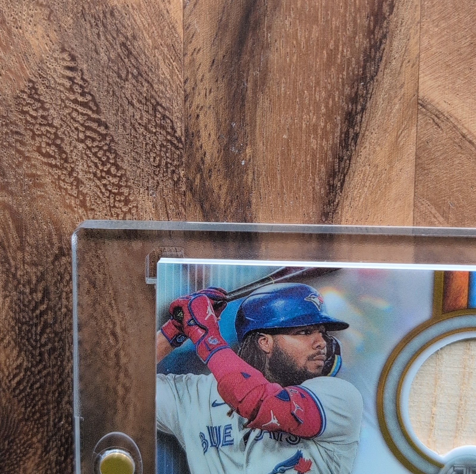VLADIMIR GUERRERO JR BO BICHETTE 2024 Topps Tribute Dual Relic /75