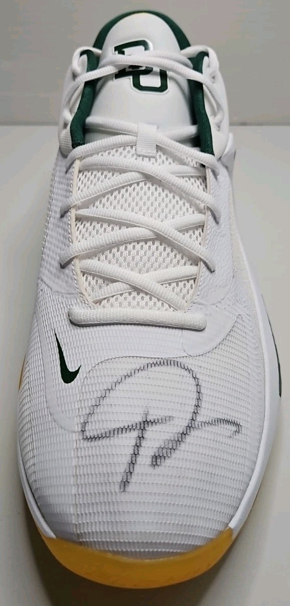 NEW NIKE SIGNED PLAYER EDITION 🏀 SHOE BAS BECKETT GIANNIS ANTETOKOUNMPO AUTO 💰