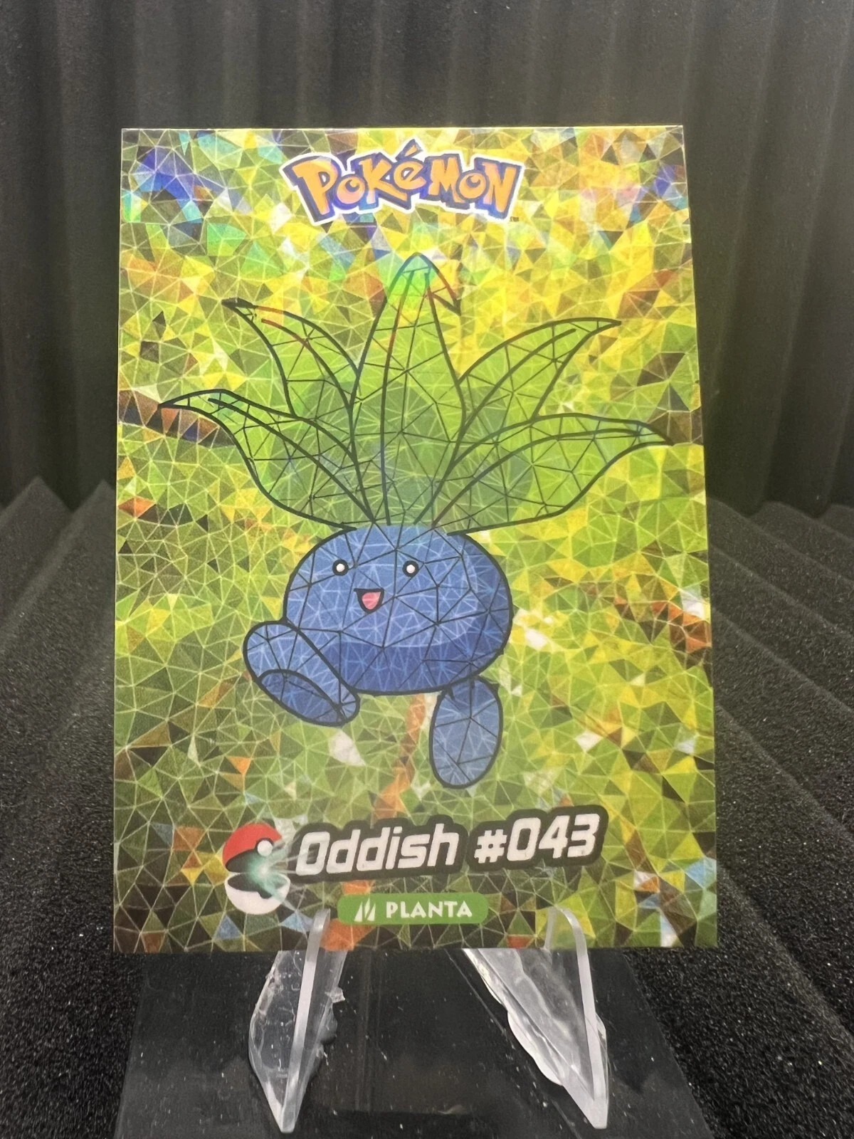 2025 POKEMON Crystal Card Collection ( 1 Pack ) 5 Cards US SELLER